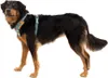 Ruffwear Front Range Harness Hundegeschirr, Farbe:Spring Produktbild-Vorschau 11