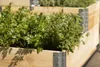A close-up view of a raised garden bed filled with herbs, showing the wooden construction and metal hinges. Produktbild-Vorschau