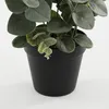 Mica Decorations Eucalyptus Kunstpflanze in Blumentopf - Produktbild-Vorschau 4