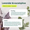 Luftreiniger Lavendel Eukalyptus 227 g ATTITUDE Gugita Produktbild-Vorschau 4