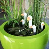 UNUS Gartendeko Gartenstecker aus Polyresin Gänsehals Produktbild-Vorschau 2