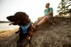 Ruffwear Front Range™ Hundegeschirr Produktbild-Vorschau 7