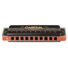 Professional Blues Harmonica in A (incl. case and cleaning Produktbild-Vorschau 14