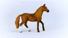 Horse Club Jument Paso Peruano Voir les images du produit 11