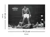 Pyramid International PP31042, 1 Stück(e), Muhammad Ali, Produktbild-Vorschau 10
