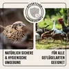 A split image showing a quail on the left and a group of chickens and geese on the right, with marketing text and a shield icon overlay. Produktbild-Vorschau