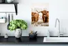 MuchoWow® Poster Schottischer Highlander - Kuh - Tiere Produktbild-Vorschau 3