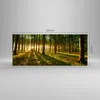 Bilder auf glas - Wald grün Sonnenstrahlen Natur - 120x50cm Produktbild-Vorschau 3