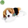 RAPPA Plüsch Beagle Hund liegend 30 cm ECO-FRIENDLY Produktbild-Vorschau 2