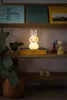 Mr Maria - Miffy / Hase Shines - Nachtlampe - Dimmbar - Produktbild-Vorschau 6