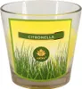 ARÔME Citronella Množství: 1 ks Náhled obrázku produktu 3