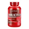 ACTIVLAB PHARMA Tribuactiv B6 ZMA TRIBULUS Vitamin B 90 Produktbild-Vorschau 1