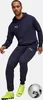 Pantalones deportivos Puma Teamgoal para hombre, color azul Vista previa de la imagen del producto 7