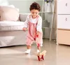 Hape E0340, 1 mies., 2 szt., Wielobarwny, 150 g Podgląd zdjęcia produktu 16