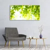Acrylglasbilder 120x60 Wandbild Druck Blätter Natur Produktbild-Vorschau 3