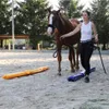 A woman is training a horse in an outdoor arena with two inflatable training beams on the ground. Náhľad obrázku produktu