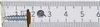 GM-S Befestigungsverbinder 4,2x16mm RAL 8003 Produktbild-Vorschau 2