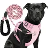 Reichstadt  RS Pets Hundegeschirr & Leinen Set 25RSP083-4 Produktbild-Vorschau 1