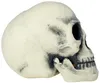 Skelet schedel, decoratie voor Halloween, griezelig Productafbeelding-voorbeeld 6