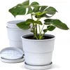 Plastard Blumentöpfe Milano 3er Set Ø 24 cm Weiß mit Produktbild-Vorschau 1