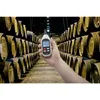 VOLTCRAFT HY-10 TH Luftfeuchtemessgerät (Hygrometer) 0 % rF Produktbild-Vorschau 6