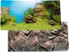 Rückwand Poster JUWEL Pflanzen/Felsen 60x30 cm Produktbild-Vorschau 16