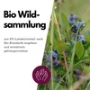 Wildheidelbeer Pulver 200 g gefriergetrocknet | bioKontor Produktbild-Vorschau 6