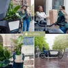 Smes sukulentu - 20 rostlin - Ø5,5cm - výška 7cm - Náhled obrázku produktu 7