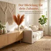 Layba Künstliches Pampasgras Deko in Terracotta Boho - 3 Produktbild-Vorschau 2
