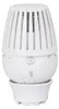 GIACOMINI thermostaatkop R460, met gepatenteerde Productafbeelding-voorbeeld 6