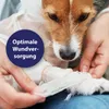 Canosept Wundgel für Hunde 20 ml Produktbild-Vorschau 2