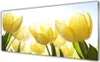 Acrylglasbilder 125x50 Wandbild Druck Tulpen Pflanzen Produktbild-Vorschau 1