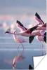 MuchoWow® Poster Flamingo - Vogel - Wasser - Rosa 40x60 cm Produktbild-Vorschau 1