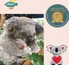 Avenir Nähset Koala – Kreatives Bastelset zum Plüschtier Produktbild-Vorschau 6