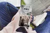 MuchoWow® Handyhülle Schutzhülle Hülle für Samsung Galaxy Produktbild-Vorschau 3