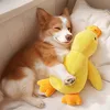 Hundespielzeug Plüsch mit Quietscher, robust und Produktbild-Vorschau 7