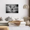 Poster - Poster ohne Rahmen - Elefant Wildnis Natur - Produktbild-Vorschau 6
