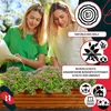 Two young women watering plants in a wooden planter box on a sunny day. Náhľad obrázku produktu