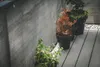 Stínicí síť na balkon a terasu s kováním 100 x 500 Náhled obrázku produktu 3