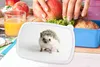 KitchenYeah® Lunchbox Brotzeit Brotdose 17x11 cm Igel - Produktbild-Vorschau 3