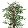 Deko Pflanze 160 cm - Modell: Benjamini Produktbild-Vorschau 3