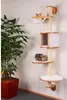 A cat tree is placed next to a large potted plant in a room with striped wallpaper. Náhľad obrázku produktu
