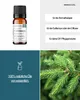 Fichtennadel (10ml) - naturreines, ätherisches Öl von Produktbild-Vorschau 2