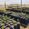 Air Pot 25L Pflanztopf Wurzelwachstum Belüftung Blumentopf Produktbild-Vorschau 7