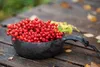 Kupilka 55 - Mísa - Kelo (černá) Náhled obrázku produktu 8