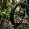 Schwalbe Reifen Magic Mary HS447 ST fb. 29x2.4"62-622 Produktbild-Vorschau 14