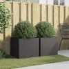 Two black planters with green bushes in front of a wooden fence. Produktbild-Vorschau