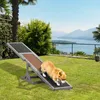 PawHut – houpačka pro psy, agility houpačka, dřevěná hračka Náhled obrázku produktu 2