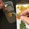 30Pcs Signets transparents pour fleurs séchées Signets pour Voir les images du produit 1