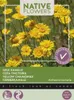 Färberkamille | Kamillesamen von Buzzy Seeds Produktbild-Vorschau 1